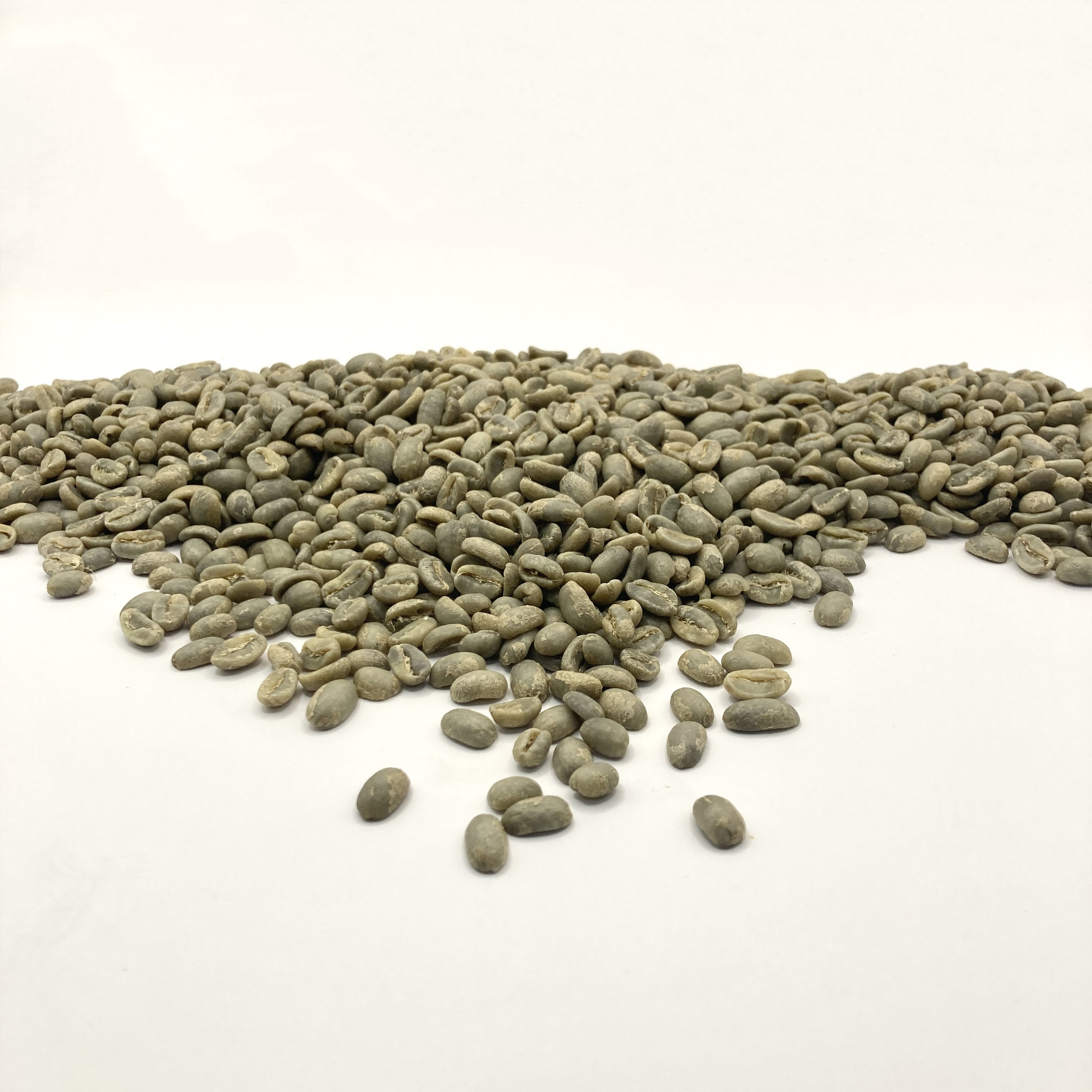 【かとやん】Janson Geisha ＆DURAN CoffeeBean janson-geisha.png